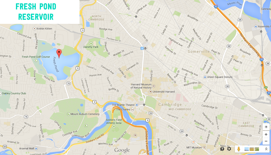 Google Map Fresh Pond Cambridge Ma Don T Forget To Be Awesome