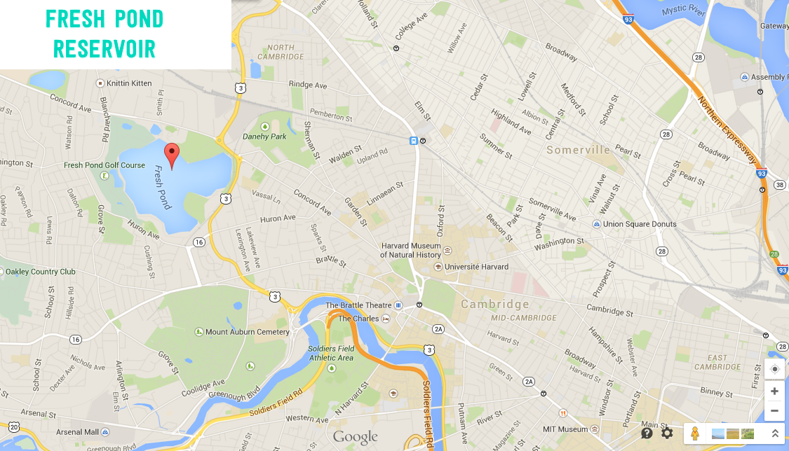 google map fresh pond cambridge ma